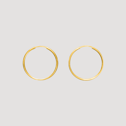 Fine Line Perfect Hoops Set